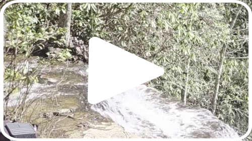 VideoPlayBtn 500x281