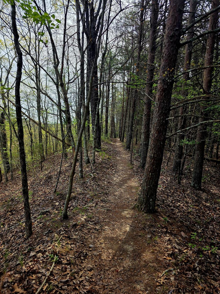 20260403 104056 900x1200