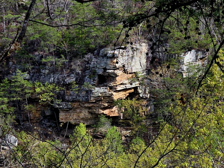 Friday Conditioning Hike